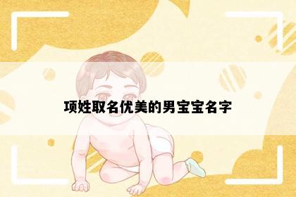 项姓取名优美的男宝宝名字