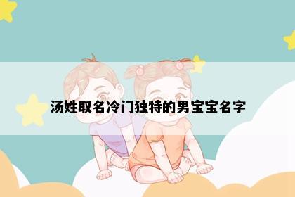 汤姓取名冷门独特的男宝宝名字