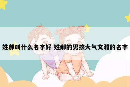 姓郝叫什么名字好 姓郝的男孩大气文雅的名字