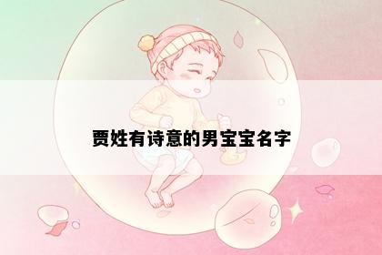 贾姓有诗意的男宝宝名字