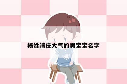 杨姓端庄大气的男宝宝名字