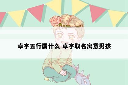 卓字五行属什么 卓字取名寓意男孩