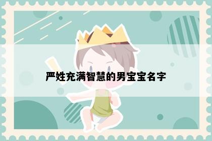 严姓充满智慧的男宝宝名字