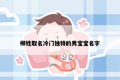 柳姓取名冷门独特的男宝宝名字