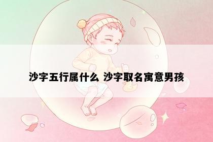 沙字五行属什么 沙字取名寓意男孩