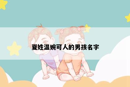 夏姓温婉可人的男孩名字