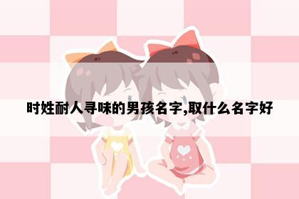 时姓耐人寻味的男孩名字,取什么名字好