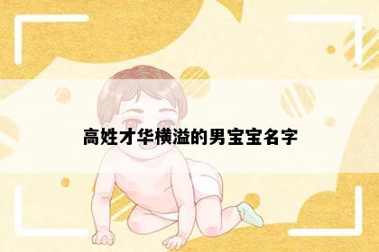 高姓才华横溢的男宝宝名字