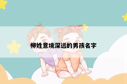 柳姓意境深远的男孩名字