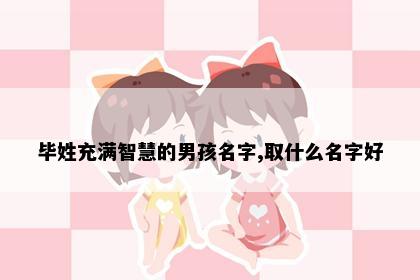 毕姓充满智慧的男孩名字,取什么名字好