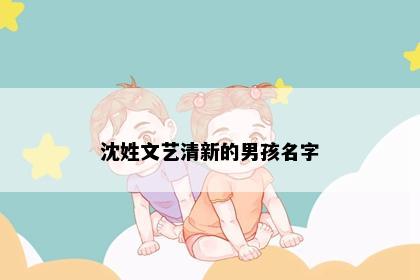 沈姓文艺清新的男孩名字