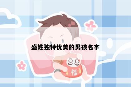 盛姓独特优美的男孩名字