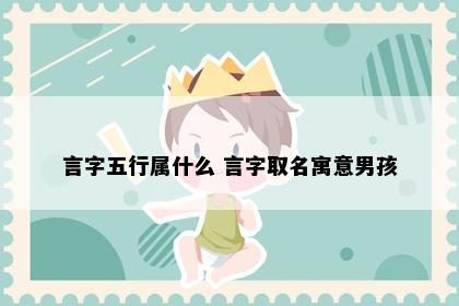 言字五行属什么 言字取名寓意男孩