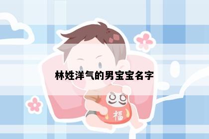 林姓洋气的男宝宝名字