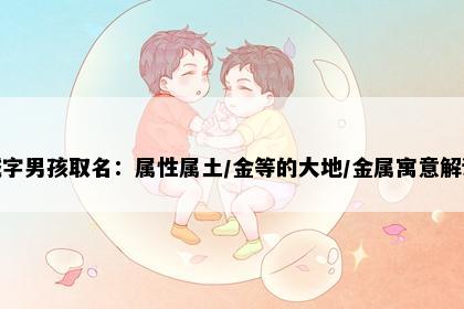 威字男孩取名：属性属土/金等的大地/金属寓意解读