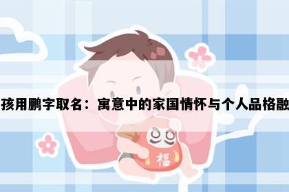 男孩用鹏字取名：寓意中的家国情怀与个人品格融合