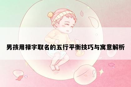 男孩用禄字取名的五行平衡技巧与寓意解析