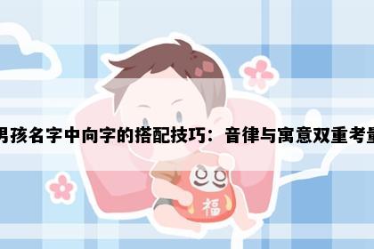 男孩名字中向字的搭配技巧：音律与寓意双重考量