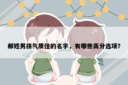 郝姓男孩气质佳的名字，有哪些高分选项？