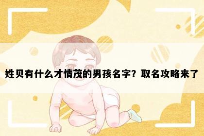 姓贝有什么才情茂的男孩名字？取名攻略来了
