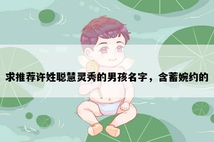 求推荐许姓聪慧灵秀的男孩名字，含蓄婉约的