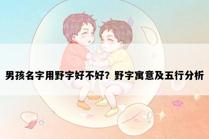 男孩名字用野字好不好？野字寓意及五行分析
