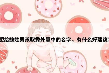想给魏姓男孩取秀外慧中的名字，有什么好建议？