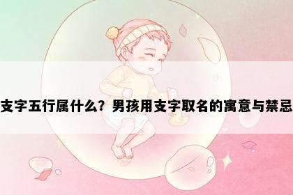 支字五行属什么？男孩用支字取名的寓意与禁忌