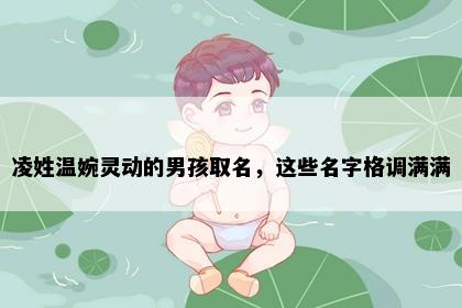 凌姓温婉灵动的男孩取名，这些名字格调满满