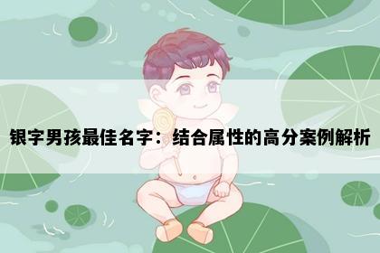 银字男孩最佳名字：结合属性的高分案例解析