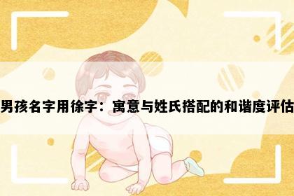 男孩名字用徐字：寓意与姓氏搭配的和谐度评估