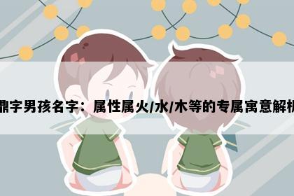鼎字男孩名字：属性属火/水/木等的专属寓意解析
