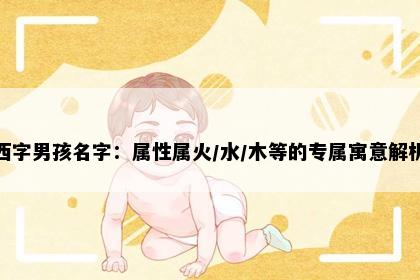 西字男孩名字：属性属火/水/木等的专属寓意解析