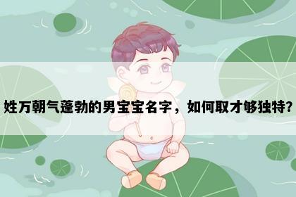 姓万朝气蓬勃的男宝宝名字，如何取才够独特？
