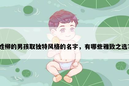 姓柳的男孩取独特风格的名字，有哪些雅致之选？