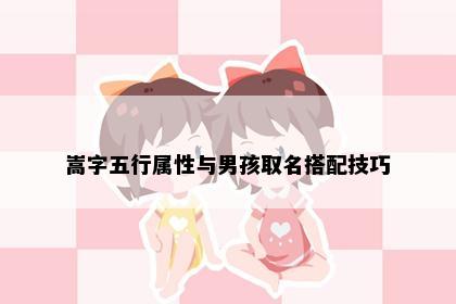 嵩字五行属性与男孩取名搭配技巧