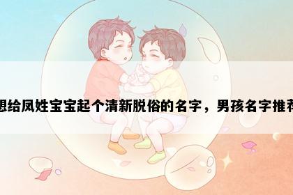 想给凤姓宝宝起个清新脱俗的名字，男孩名字推荐