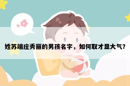 姓苏端庄秀丽的男孩名字，如何取才显大气？