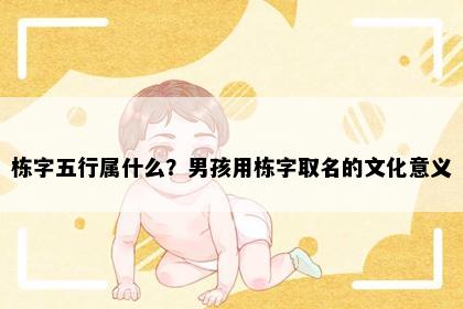 栋字五行属什么？男孩用栋字取名的文化意义
