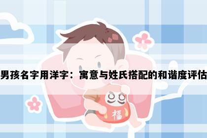 男孩名字用洋字：寓意与姓氏搭配的和谐度评估