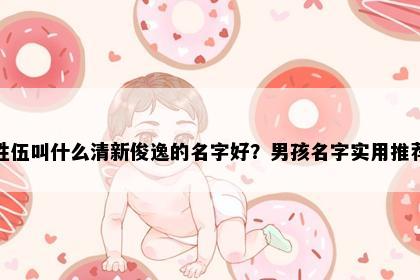 姓伍叫什么清新俊逸的名字好？男孩名字实用推荐