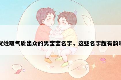 贺姓取气质出众的男宝宝名字，这些名字超有韵味