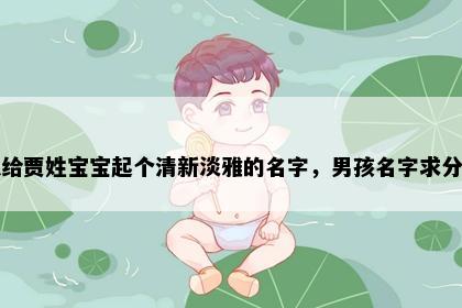 想给贾姓宝宝起个清新淡雅的名字，男孩名字求分享