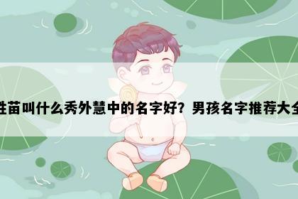 姓苗叫什么秀外慧中的名字好？男孩名字推荐大全