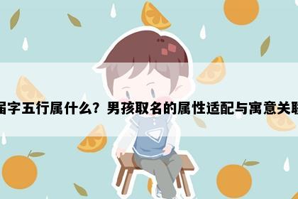 届字五行属什么？男孩取名的属性适配与寓意关联