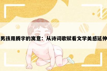 男孩用腾字的寓意：从诗词歌赋看文学美感延伸