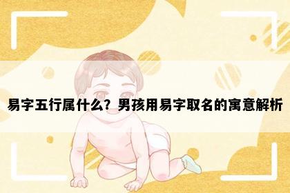 易字五行属什么？男孩用易字取名的寓意解析