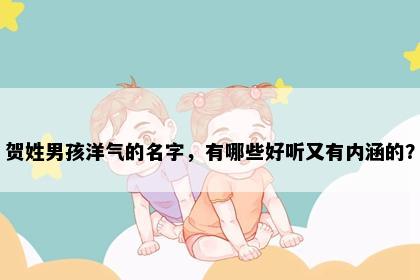 贺姓男孩洋气的名字，有哪些好听又有内涵的？