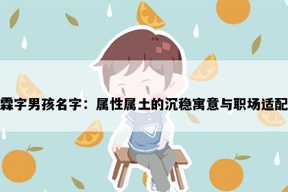 霖字男孩名字：属性属土的沉稳寓意与职场适配